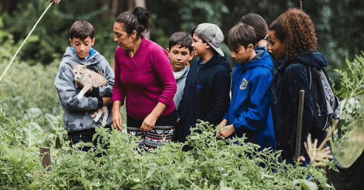 What Robinson Crusoe Island Taught Me About Sustainability & Storytelling